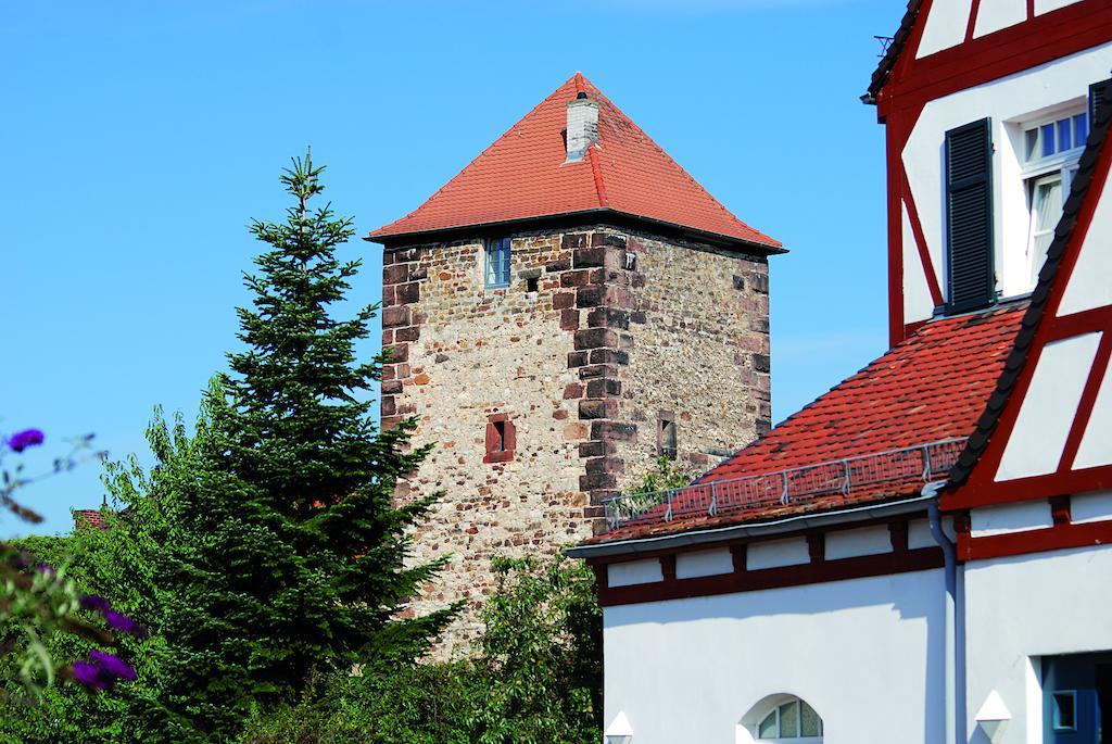 Landhotel Altes Wasserwerk Gbr Freinsheim Exterior foto